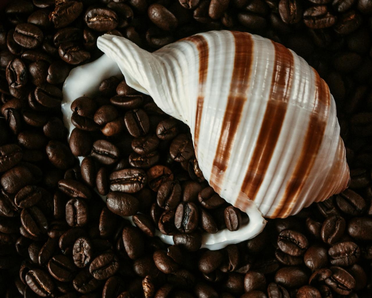 Experts Predict Coffee Prices Will Soar This Winter