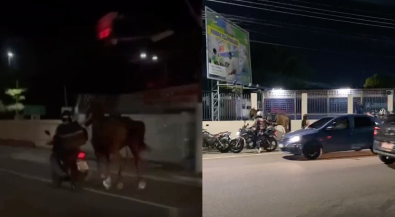 Motoboy doma um dos cavalos da PM após fogos em Manaus