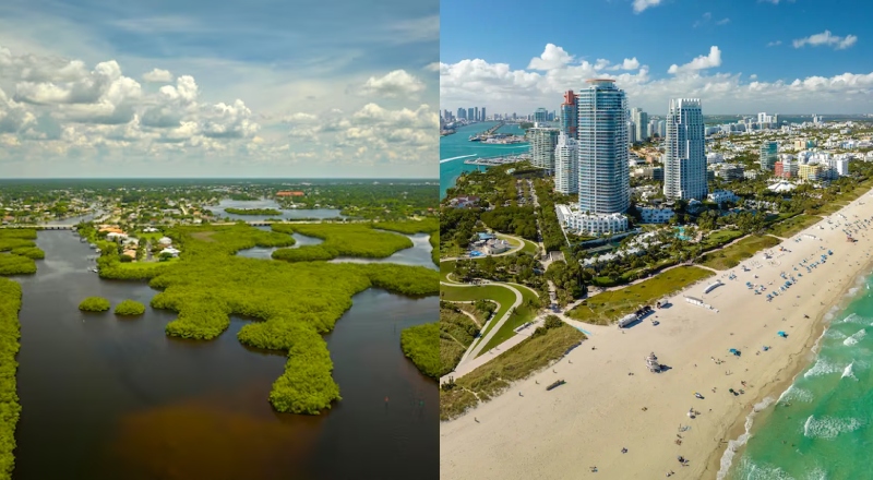 Muito além de Miami: os obstáculos para o Norte da Flórida