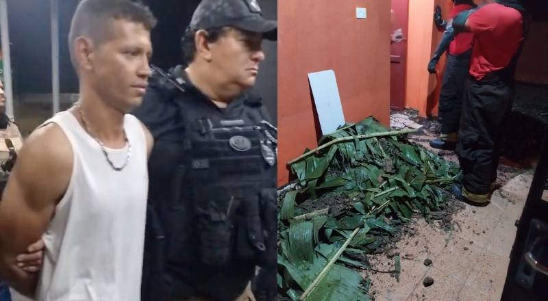 Falso jardineiro mata patrão de 67 anos em Manaus; detalhes chocantes