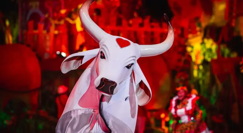 Boi Garantido inicia o lançamento das toadas de Parintins 2023