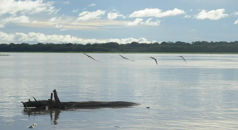 MP do Amazonas fiscaliza ações preventivas em Anamã para cheia