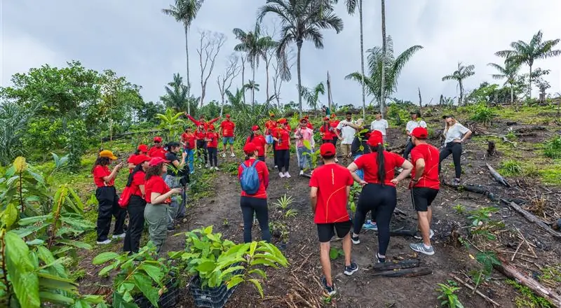 Ação do Grupo Atem no Puraquequara promove reflorestamento e educação ambiental