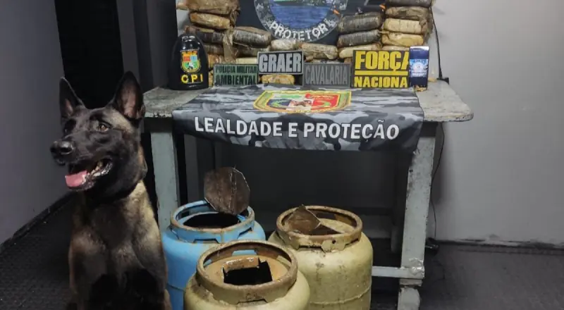 Cão farejador encontra 30kg de drogas em botijão de gás no AM