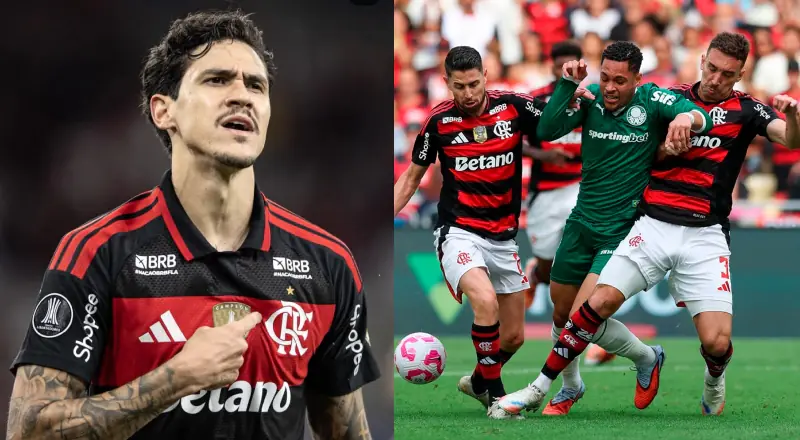 Flamengo se classifica e Palmeiras perde: análise dos jogos brasileiros