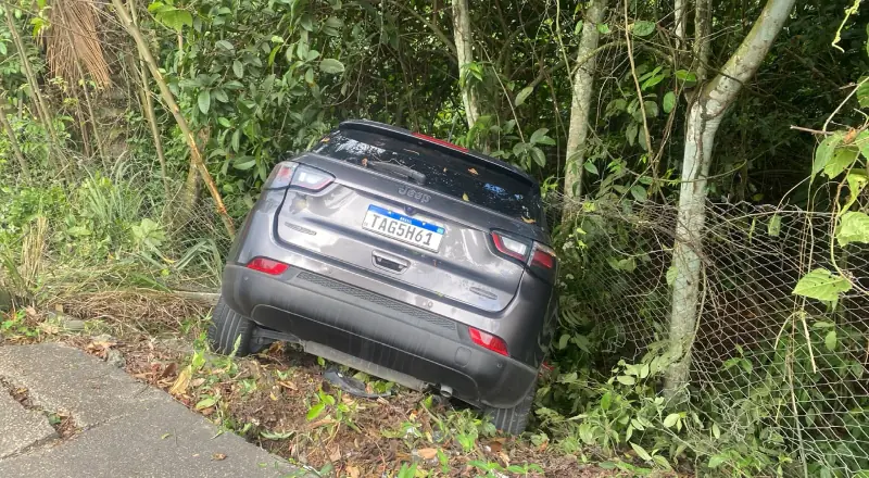 Carro invade área de mata após motorista perder controle da direção