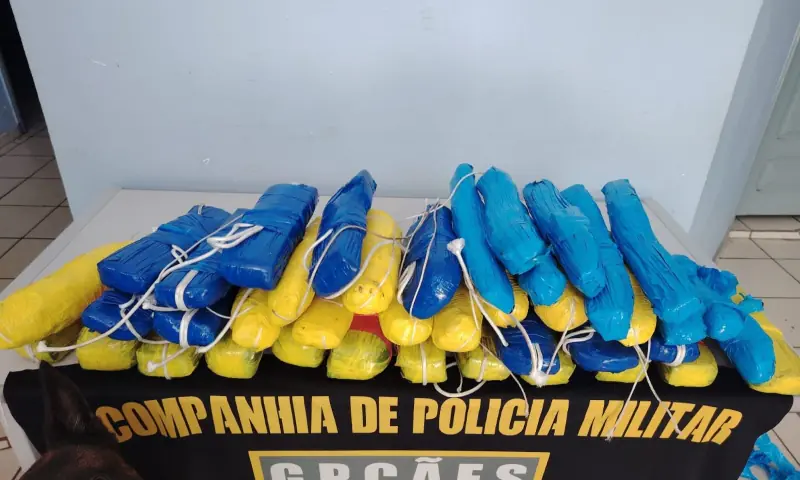 Apreensão de drogas em embarcação de Tonantins causa prejuízo ao tráfico