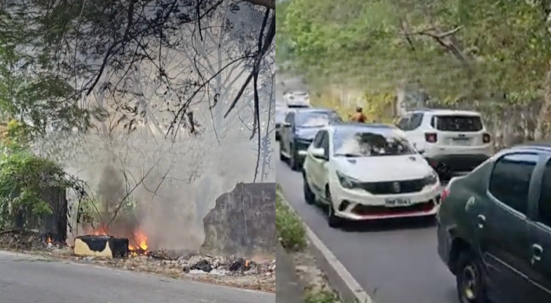 Incêndio de grandes proporções atinge mata em Parque 10 e assusta moradores