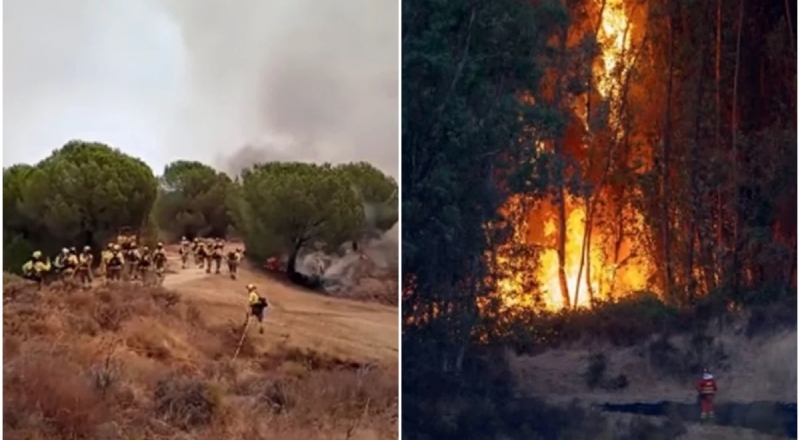 Incêndio florestal atinge 4 mil hectares e gera mobilização na Espanha