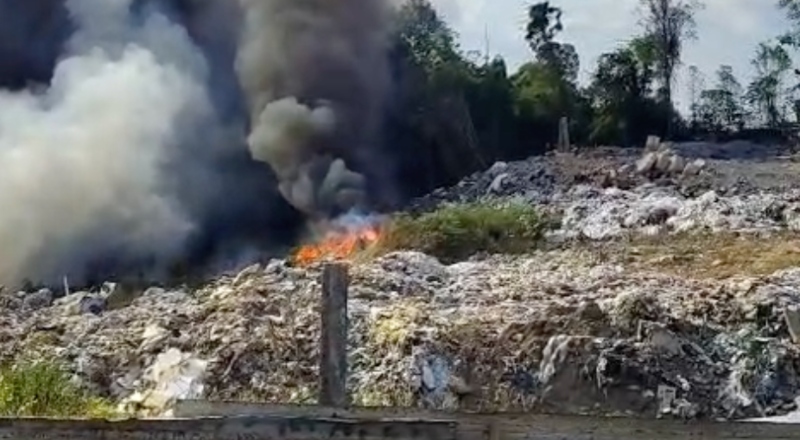 Incêndio de grandes proporções em área de vegetação assusta moradores